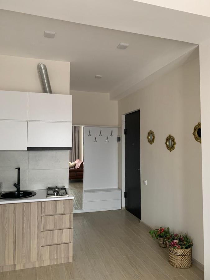Valkhida'S Apartment Κουτάισι Εξωτερικό φωτογραφία